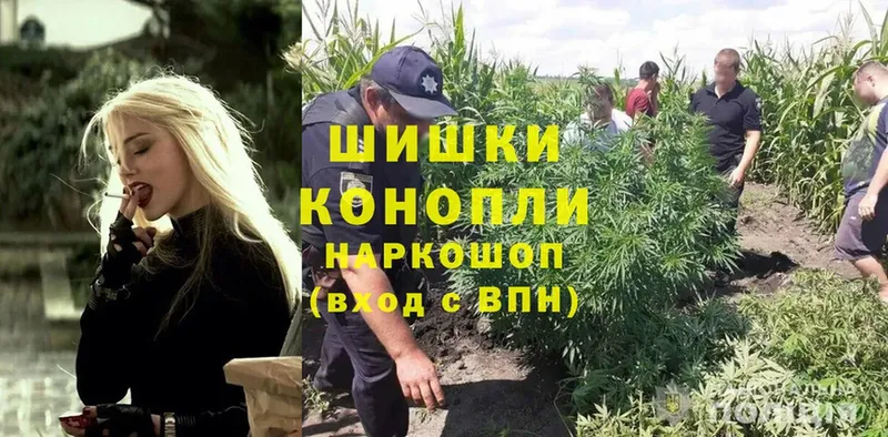 сколько стоит  Новокубанск  Канабис SATIVA & INDICA 